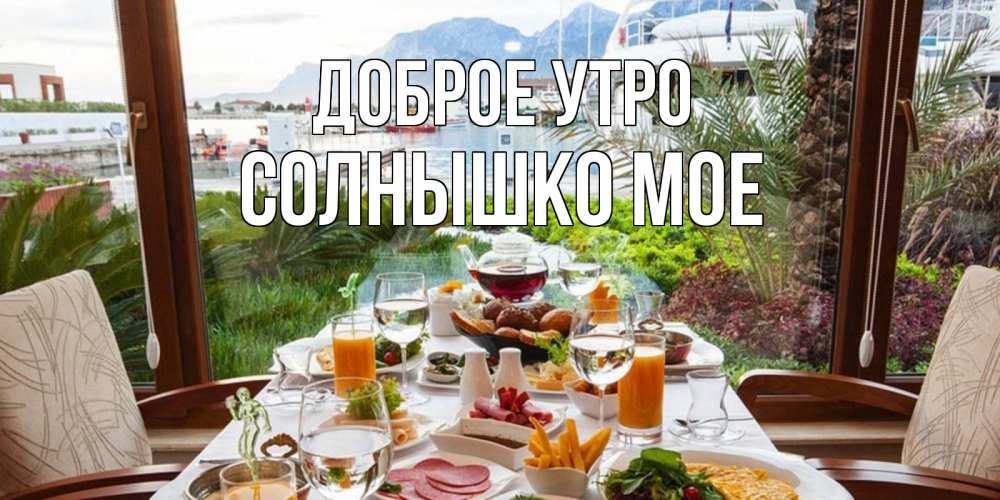 Открытка на каждый день с именем, СОЛНЫШКО-МОЕ Доброе утро тропическое утро Прикольная открытка с пожеланием онлайн скачать бесплатно 