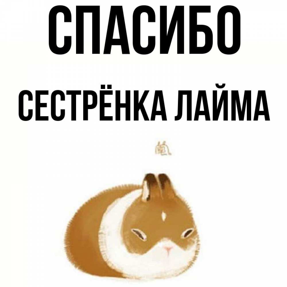 Открытка на каждый день с именем, Сестрёнка-Лайма Спасибо коричнево белый домашний питомец Прикольная открытка с пожеланием онлайн скачать бесплатно 
