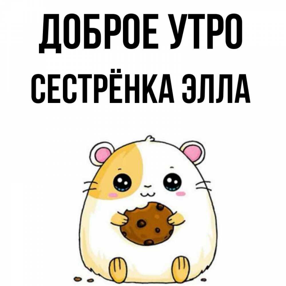 Открытка на каждый день с именем, Сестрёнка-Элла Доброе утро есть печеньку. Утречко Прикольная открытка с пожеланием онлайн скачать бесплатно 