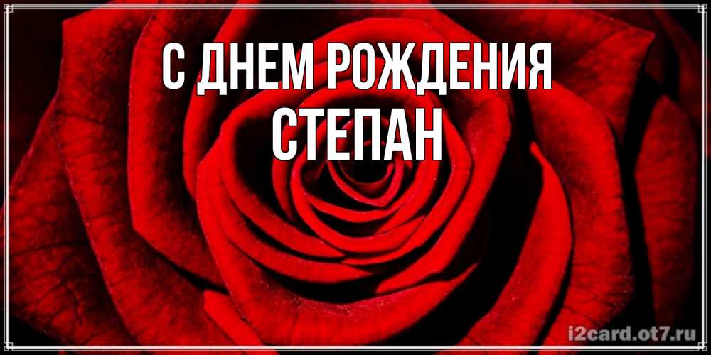 Открытка на каждый день с именем, Степан С днем рождения алая роза Прикольная открытка с пожеланием онлайн скачать бесплатно 