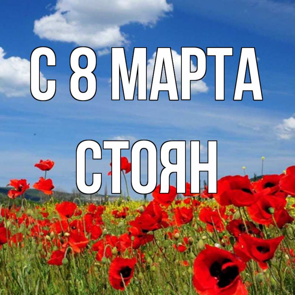 Открытка на каждый день с именем, Стоян С 8 МАРТА международный женский день 1 Прикольная открытка с пожеланием онлайн скачать бесплатно 