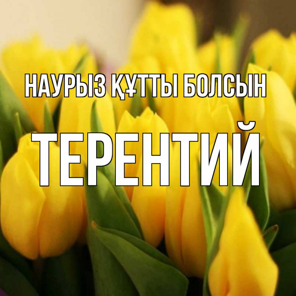 Открытка на каждый день с именем, Терентий Наурыз құтты болсын цветы Прикольная открытка с пожеланием онлайн скачать бесплатно 