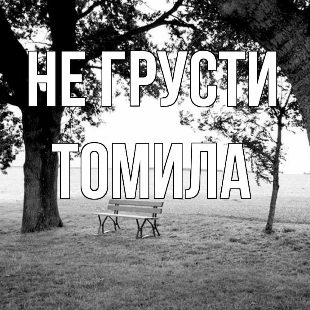 Открытка на каждый день с именем, Томила Не грусти мощное дерево Прикольная открытка с пожеланием онлайн скачать бесплатно 