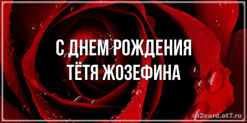 Открытка на каждый день с именем, Тётя-Жозефина С днем рождения крупная бордовая роза Прикольная открытка с пожеланием онлайн скачать бесплатно 