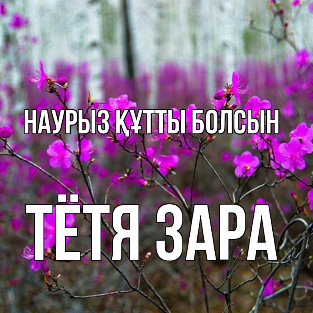 Открытка на каждый день с именем, Тётя-Зара Наурыз құтты болсын дикие цветы Прикольная открытка с пожеланием онлайн скачать бесплатно 