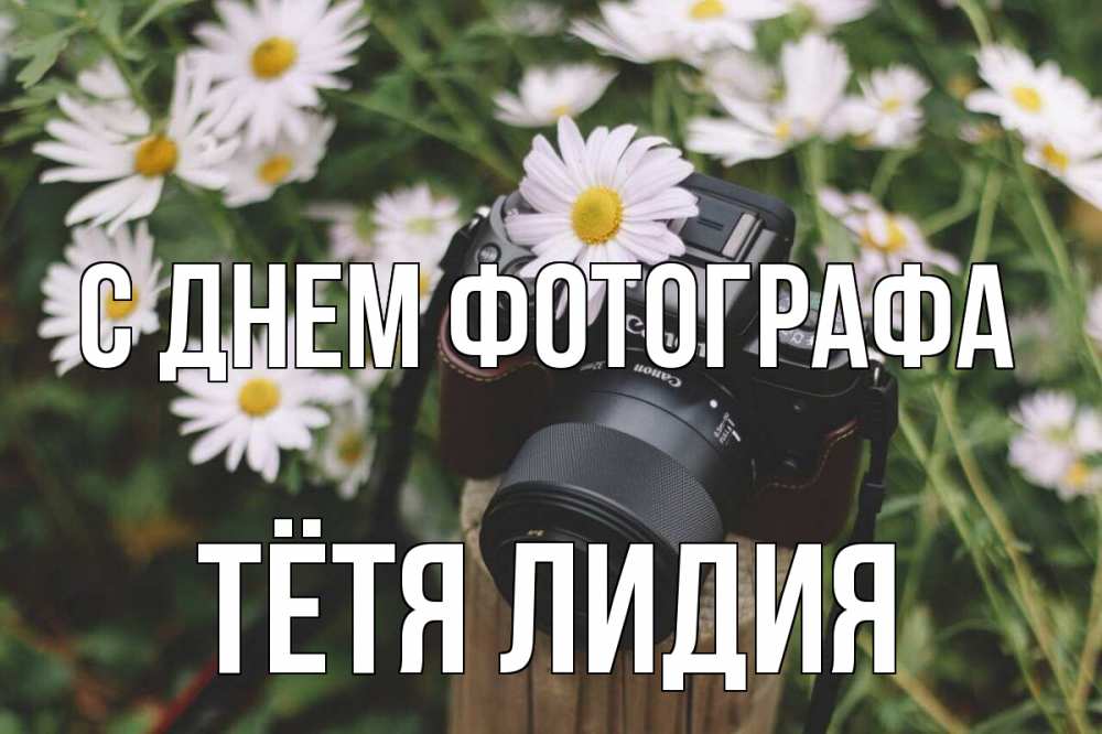 Открытка на каждый день с именем, Тётя-Лидия С днем фотографа с днем фотографа Прикольная открытка с пожеланием онлайн скачать бесплатно 