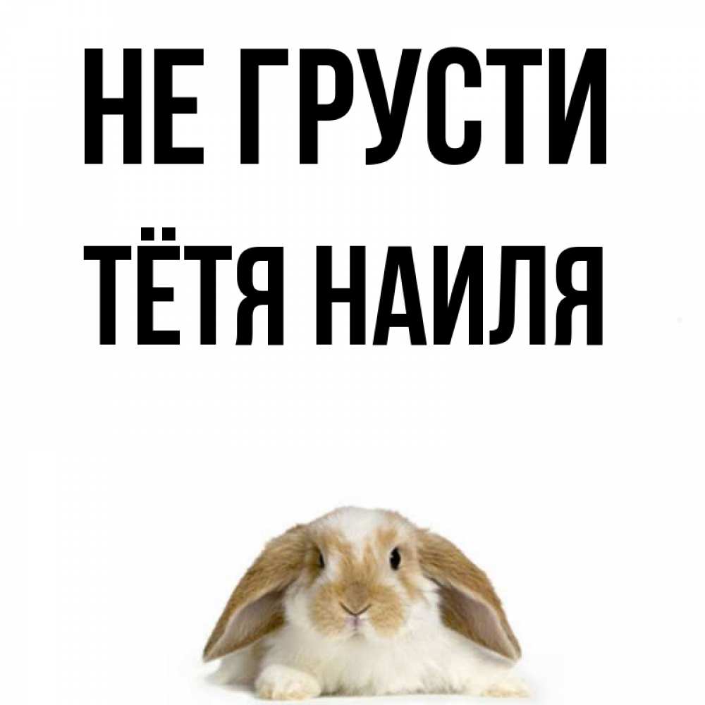 Открытка на каждый день с именем, Тётя-Наиля Не грусти коричнево белый заяц с большими ушками Прикольная открытка с пожеланием онлайн скачать бесплатно 