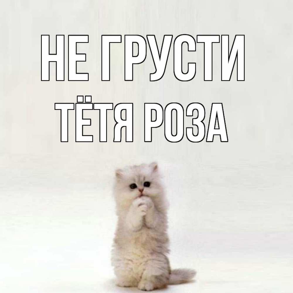 Открытка на каждый день с именем, Тётя-Роза Не грусти грустный кот Прикольная открытка с пожеланием онлайн скачать бесплатно 