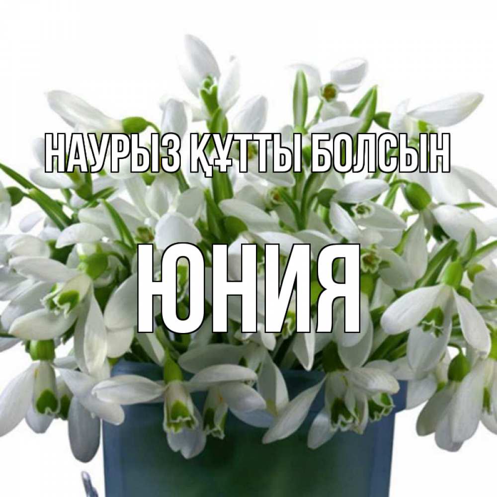 Открытка на каждый день с именем, Юния Наурыз құтты болсын цветы к наурызу Прикольная открытка с пожеланием онлайн скачать бесплатно 