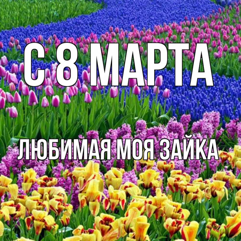 Открытка на каждый день с именем, Любимая-моя-зайка С 8 МАРТА цветы Прикольная открытка с пожеланием онлайн скачать бесплатно 