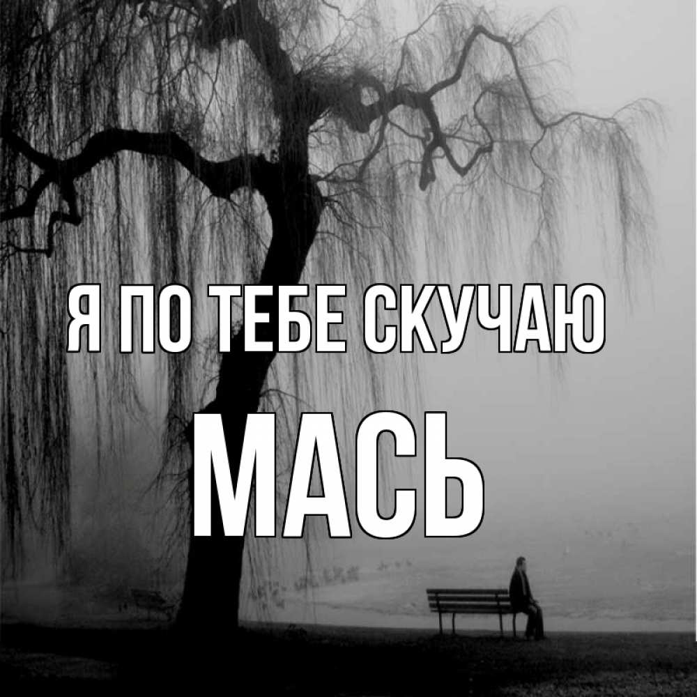 Открытка на каждый день с именем, Мась Я по тебе скучаю лавочка под деревом я жду тебя Прикольная открытка с пожеланием онлайн скачать бесплатно 