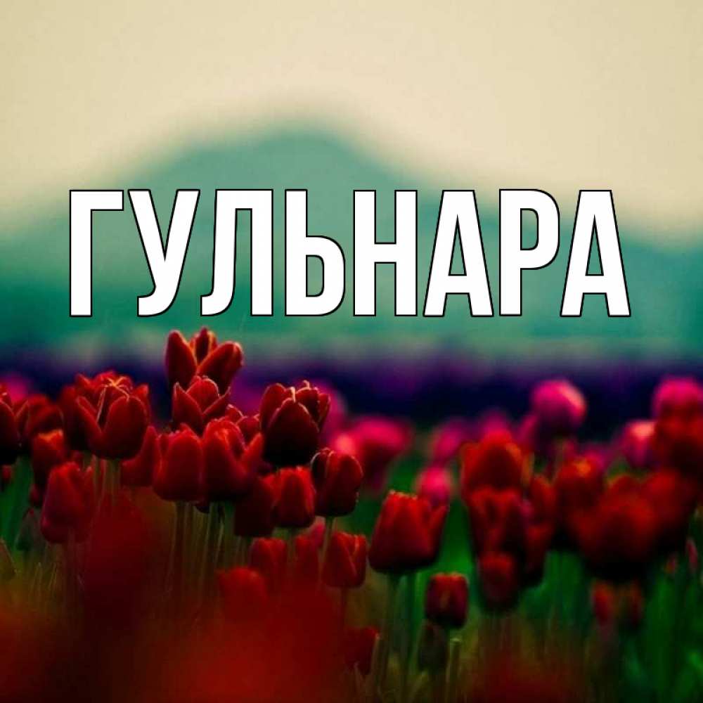 Мирным, картинка с надписью гульнар