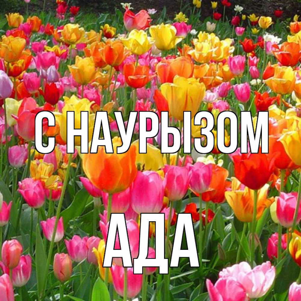 Открытка на каждый день с именем, Ада С наурызом праздник весны наурыз 4 Прикольная открытка с пожеланием онлайн скачать бесплатно 