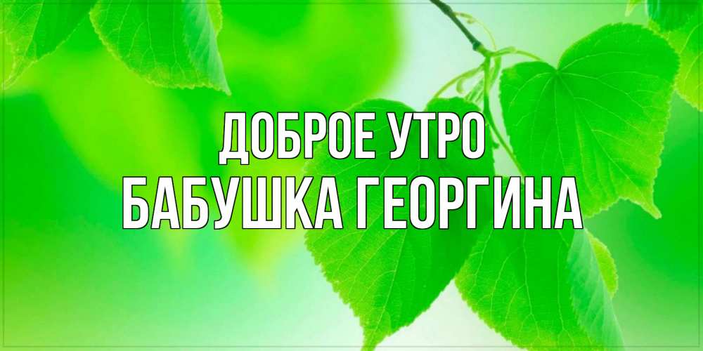 Открытка на каждый день с именем, Бабушка-Георгина Доброе утро доброе утро с березовыми листьями Прикольная открытка с пожеланием онлайн скачать бесплатно 