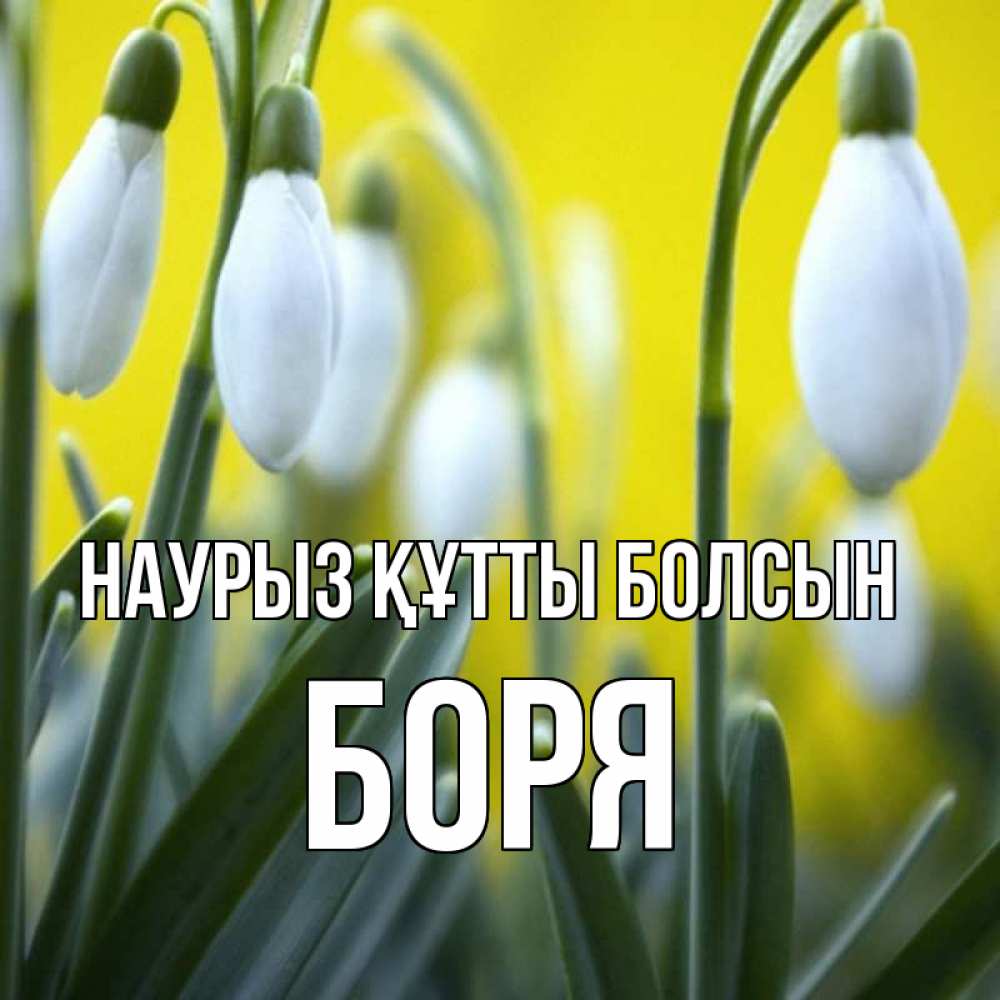 Открытка на каждый день с именем, Боря Наурыз құтты болсын весенние цветы Прикольная открытка с пожеланием онлайн скачать бесплатно 