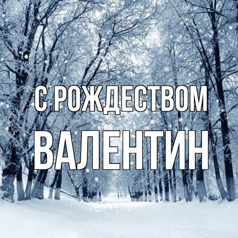 Открытка на каждый день с именем, Валентин С рождеством снег, лес, парк Прикольная открытка с пожеланием онлайн скачать бесплатно 