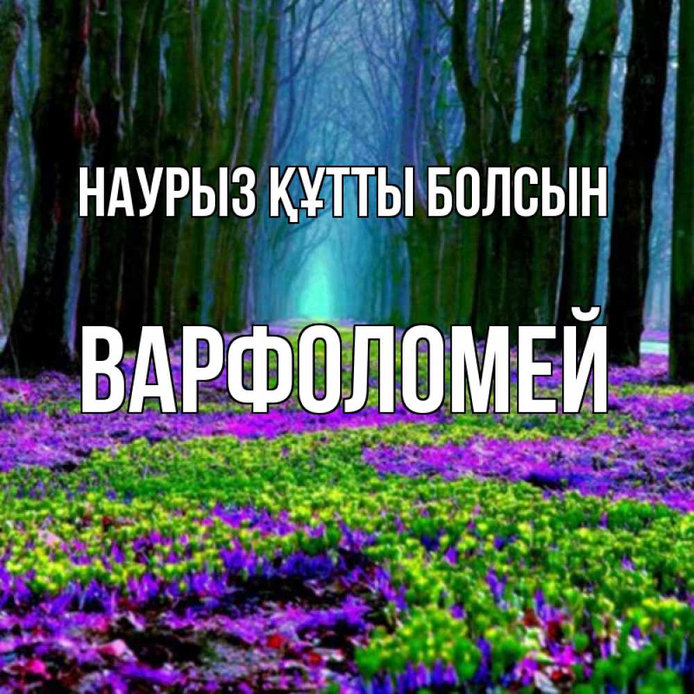 Открытка на каждый день с именем, Варфоломей Наурыз құтты болсын фиолетовые цветы в лесу 1 Прикольная открытка с пожеланием онлайн скачать бесплатно 