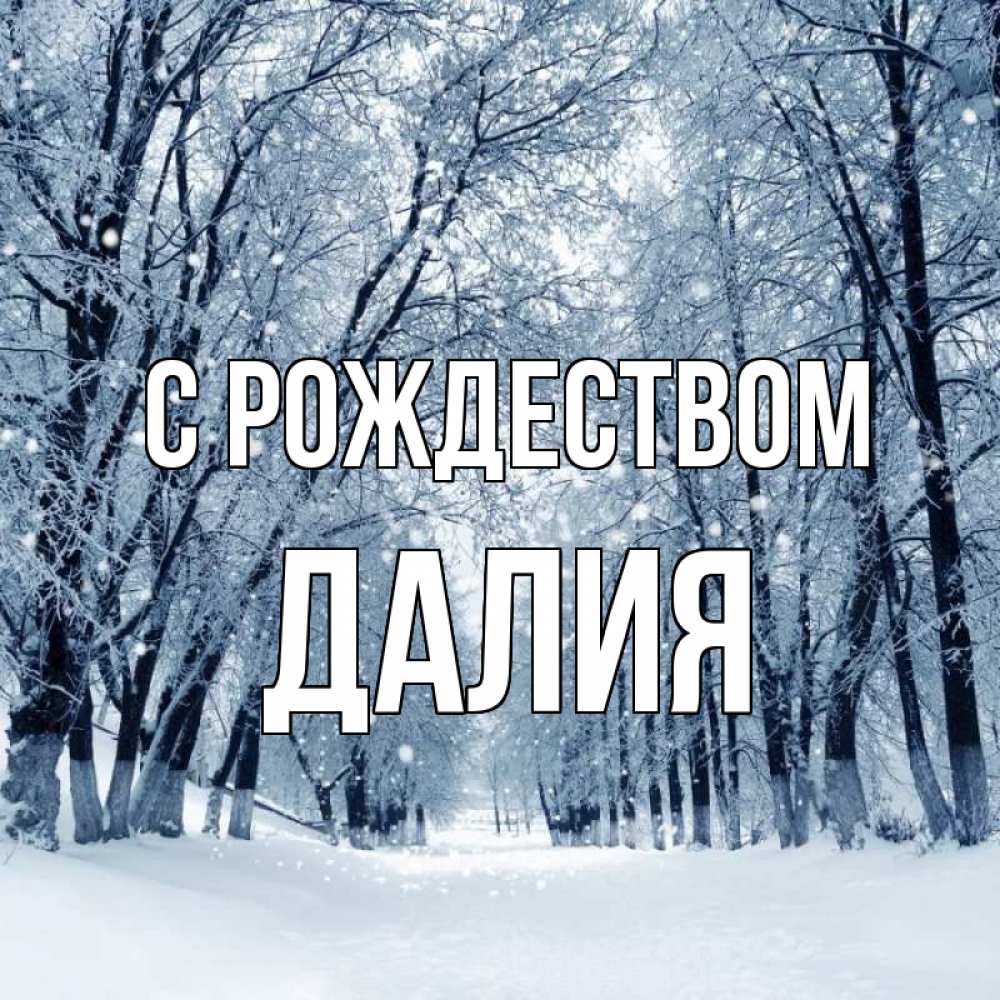 Открытка на каждый день с именем, Далия С рождеством снег, лес, парк Прикольная открытка с пожеланием онлайн скачать бесплатно 