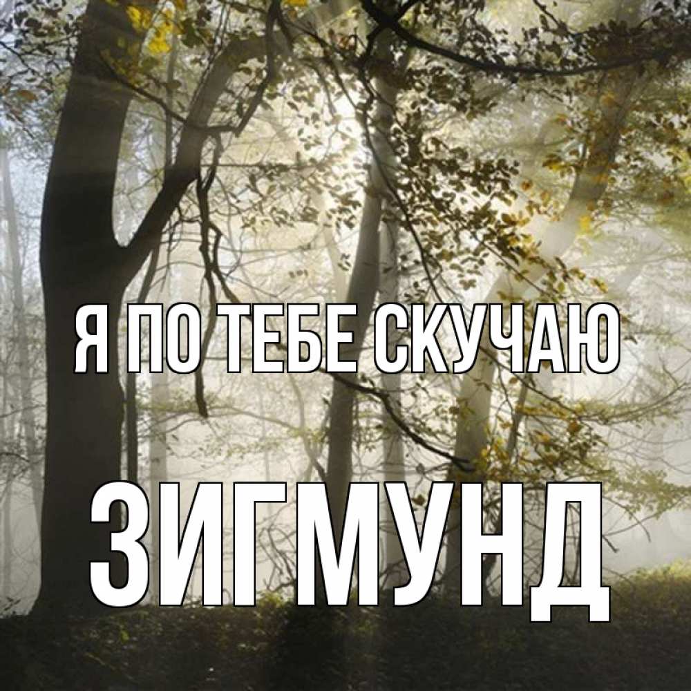 Открытка на каждый день с именем, Зигмунд Я по тебе скучаю грустно Прикольная открытка с пожеланием онлайн скачать бесплатно 