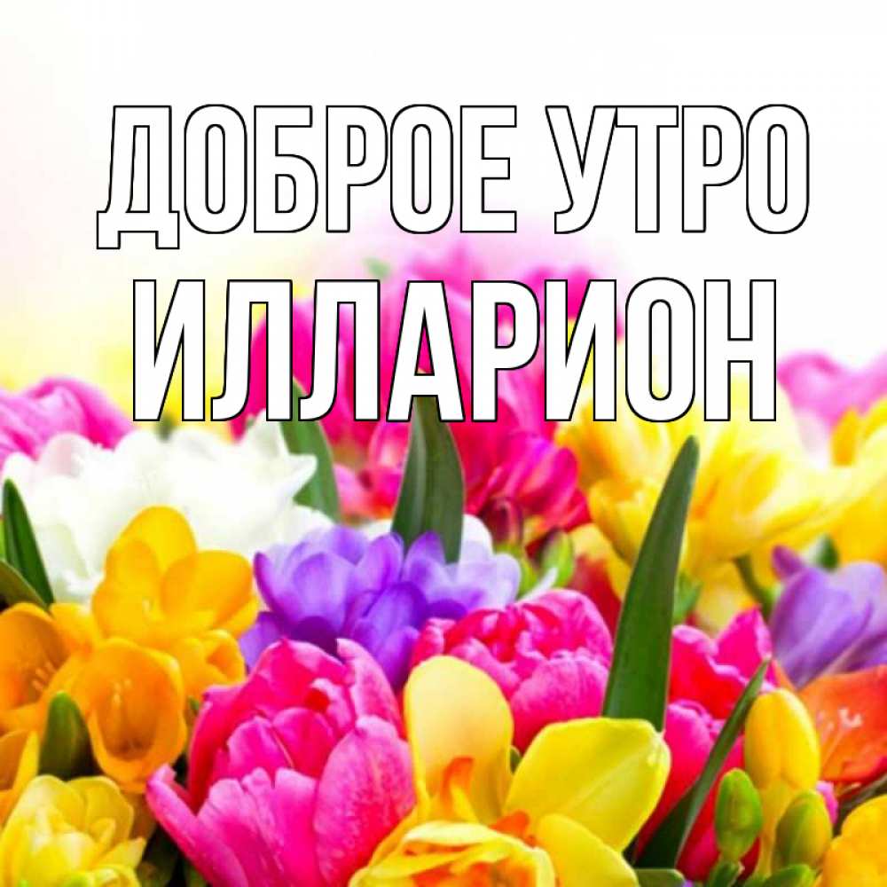 Открытка на каждый день с именем, Илларион Доброе утро создать открытку со свое подписью Прикольная открытка с пожеланием онлайн скачать бесплатно 