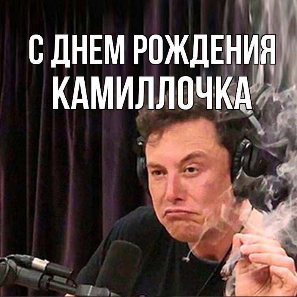 Открытка на каждый день с именем, Камиллочка С днем рождения МЕМ Прикольная открытка с пожеланием онлайн скачать бесплатно 