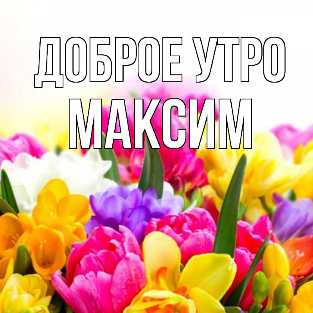 Открытка на каждый день с именем, Максим Доброе утро создать открытку со свое подписью Прикольная открытка с пожеланием онлайн скачать бесплатно 
