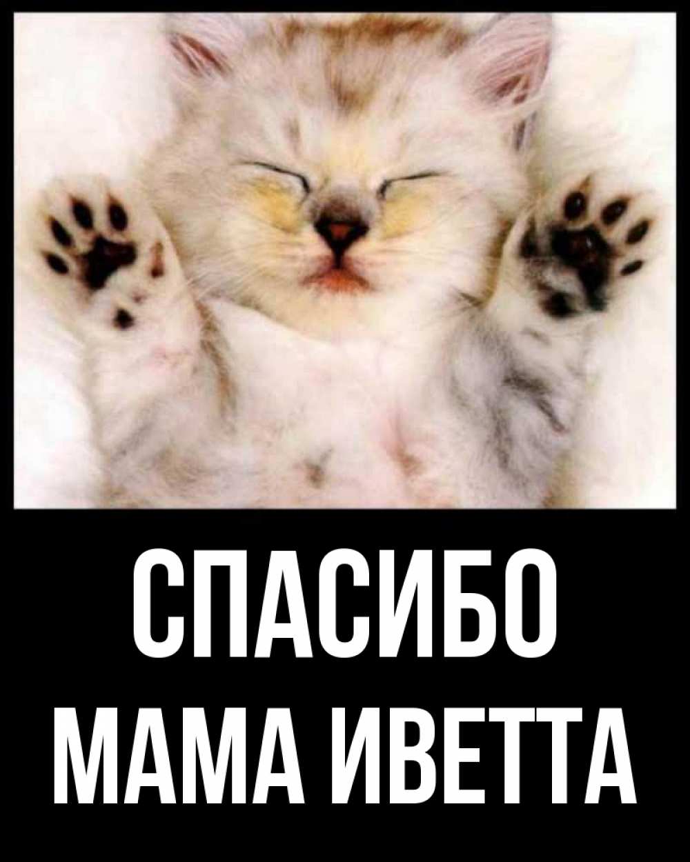 Открытка на каждый день с именем, Мама-Иветта Спасибо маленький котенок Прикольная открытка с пожеланием онлайн скачать бесплатно 