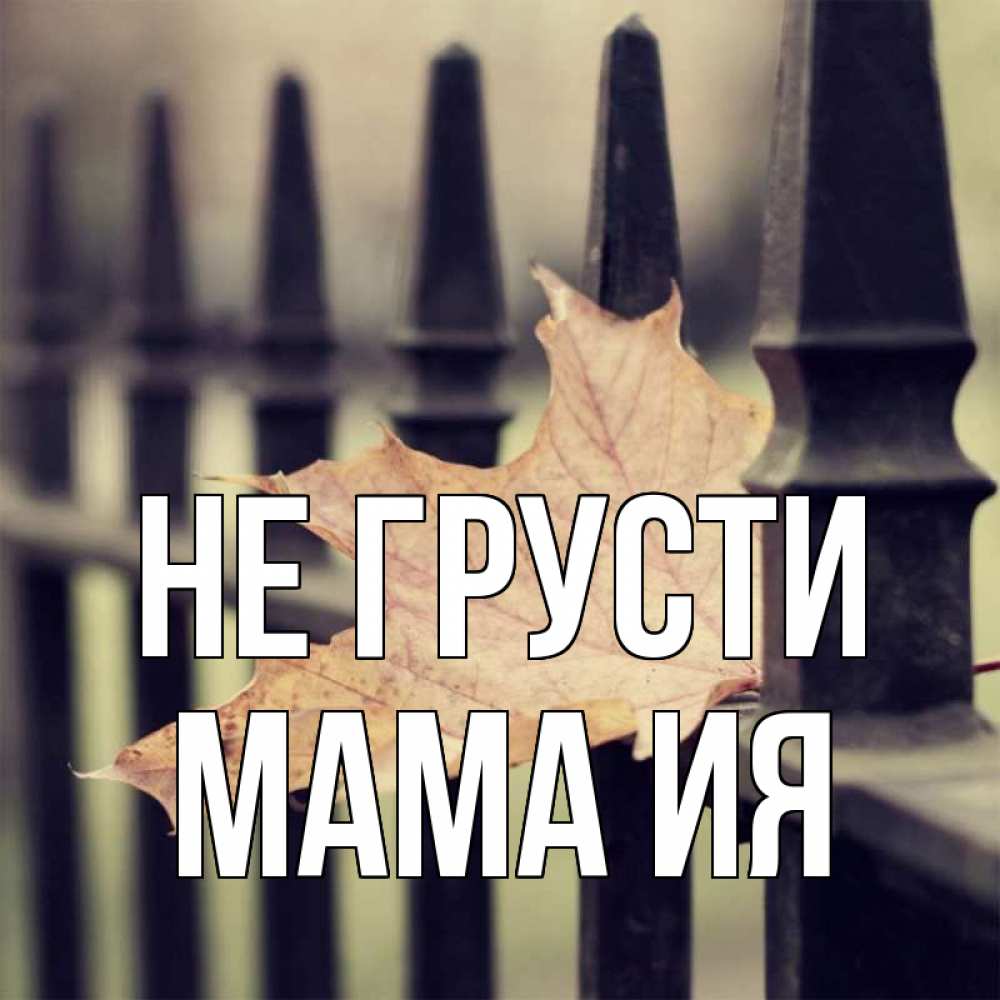 Открытка на каждый день с именем, Мама-Ия Не грусти лист клена Прикольная открытка с пожеланием онлайн скачать бесплатно 