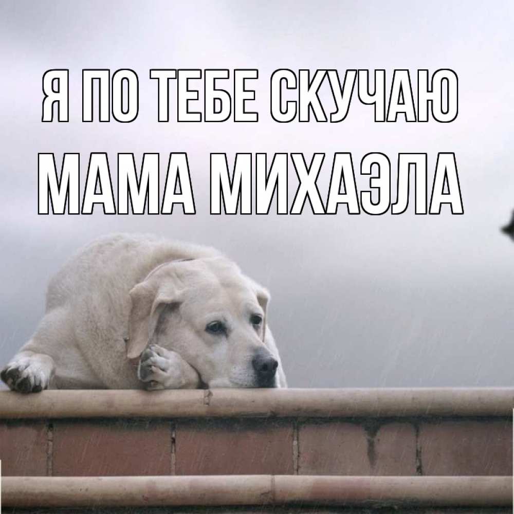 Открытка на каждый день с именем, Мама-Михаэла Я по тебе скучаю ждет Прикольная открытка с пожеланием онлайн скачать бесплатно 