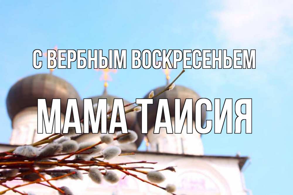 Открытка на каждый день с именем, Мама-Таисия С вербным воскресеньем верба Прикольная открытка с пожеланием онлайн скачать бесплатно 