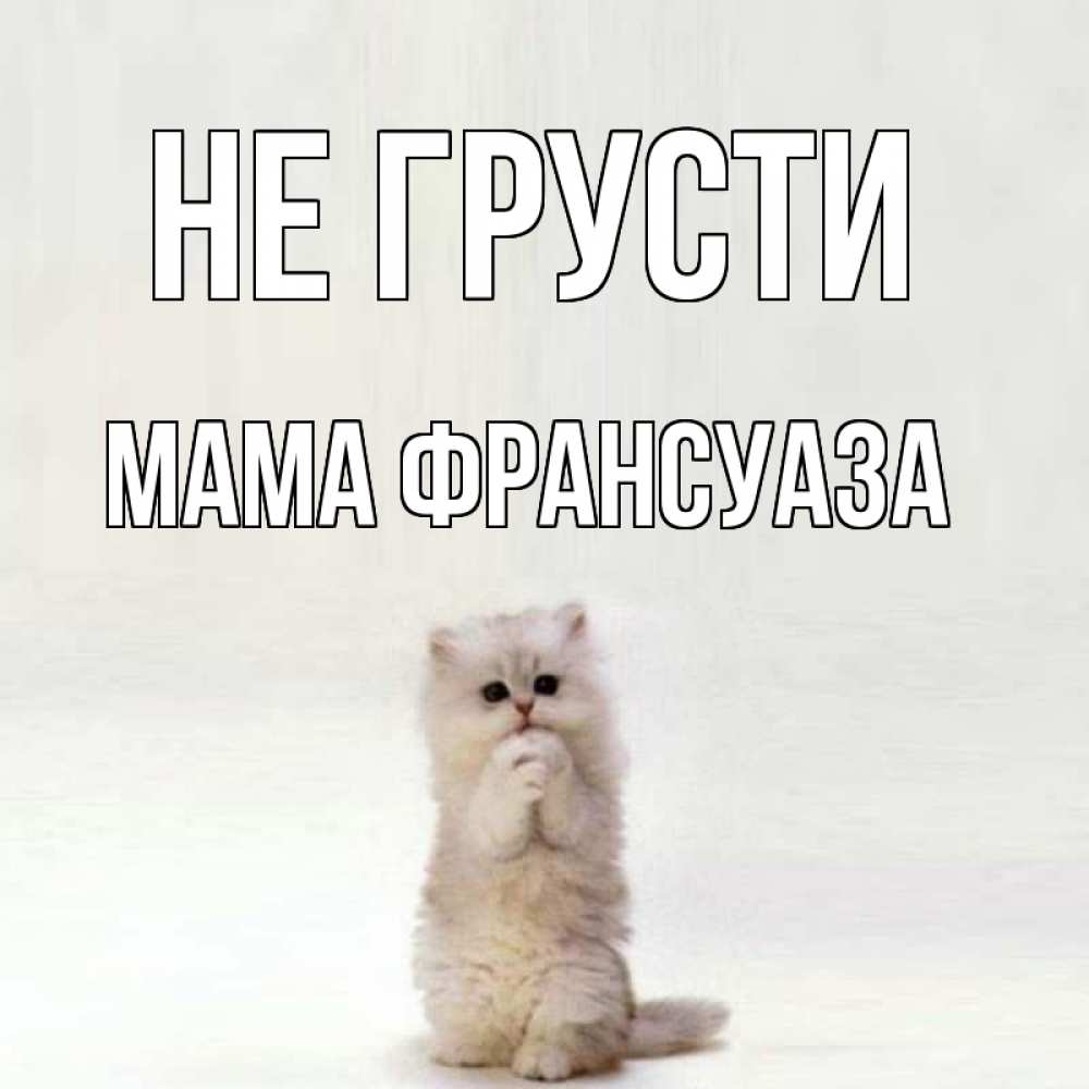 Открытка на каждый день с именем, Мама-Франсуаза Не грусти грустный кот Прикольная открытка с пожеланием онлайн скачать бесплатно 