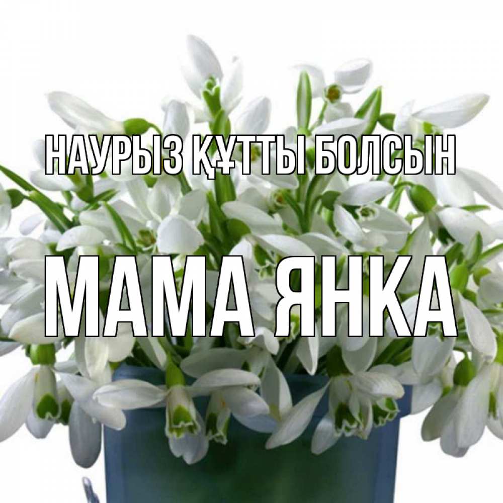 Открытка на каждый день с именем, Мама-Янка Наурыз құтты болсын цветы к наурызу Прикольная открытка с пожеланием онлайн скачать бесплатно 