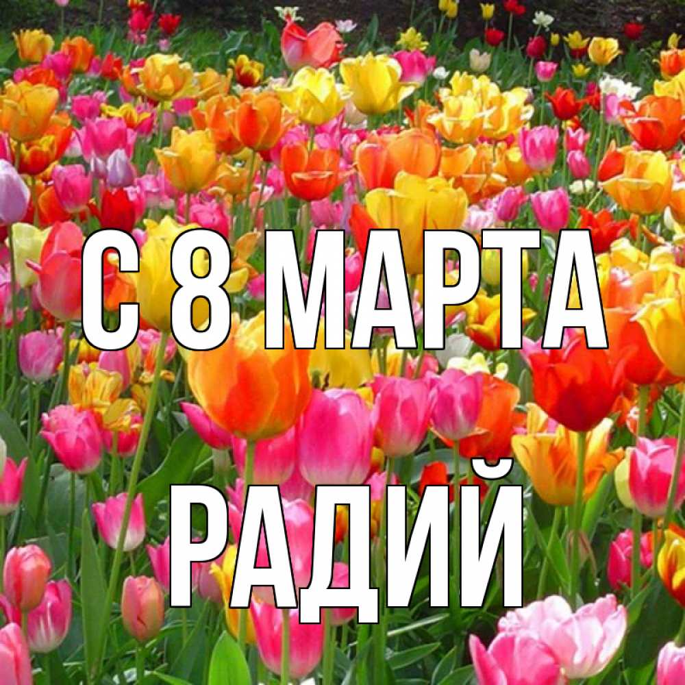 Открытка на каждый день с именем, Радий С 8 МАРТА на международный женский день Прикольная открытка с пожеланием онлайн скачать бесплатно 