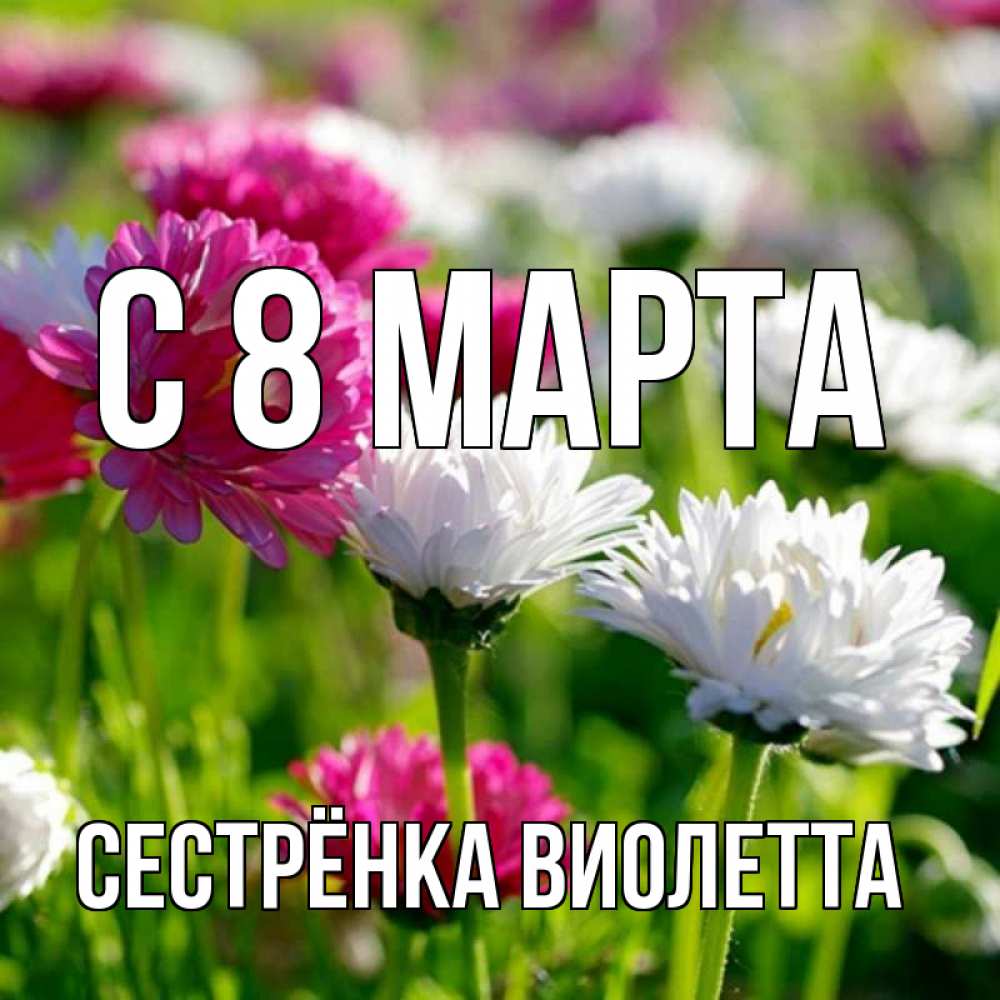 Открытка на каждый день с именем, Сестрёнка-Виолетта С 8 марта международный женский день 1 Прикольная открытка с пожеланием онлайн скачать бесплатно 