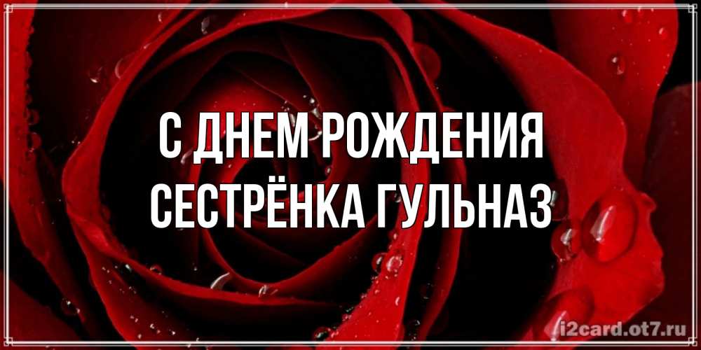 Открытка на каждый день с именем, Сестрёнка-Гульназ С днем рождения крупная бордовая роза Прикольная открытка с пожеланием онлайн скачать бесплатно 