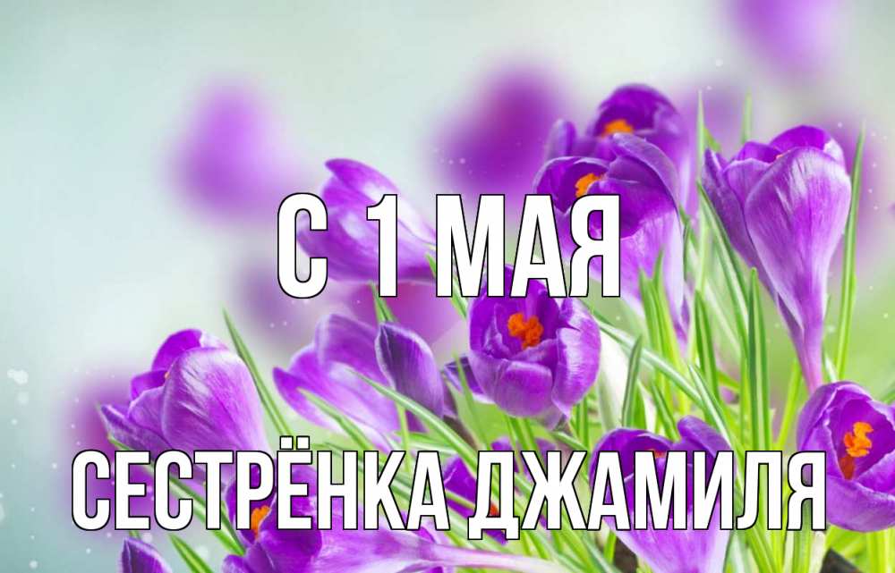 Открытка на каждый день с именем, Сестрёнка-Джамиля С 1 мая 1 мая Прикольная открытка с пожеланием онлайн скачать бесплатно 