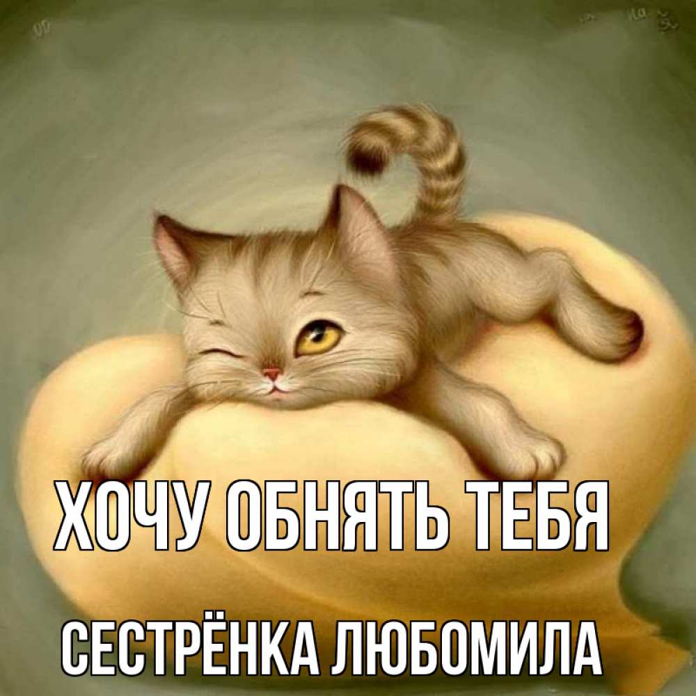 Открытка на каждый день с именем, Сестрёнка-Любомила Хочу обнять тебя кошечка Прикольная открытка с пожеланием онлайн скачать бесплатно 