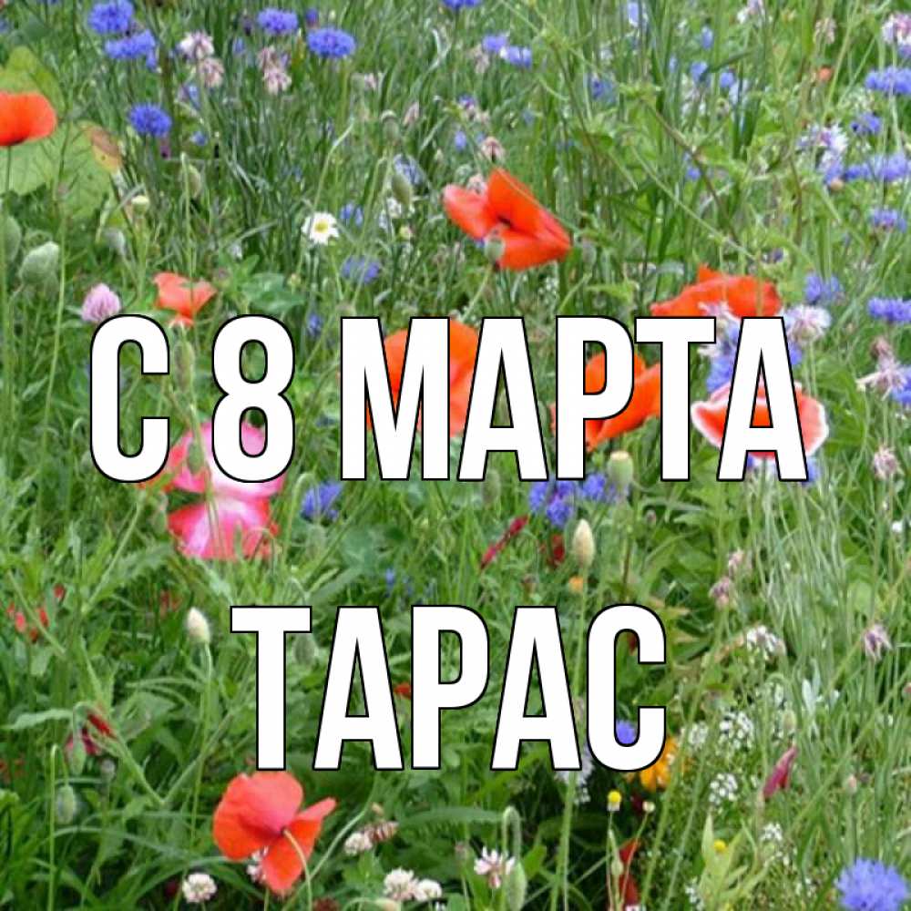 Открытка на каждый день с именем, Тарас С 8 МАРТА международный женский день 4 Прикольная открытка с пожеланием онлайн скачать бесплатно 