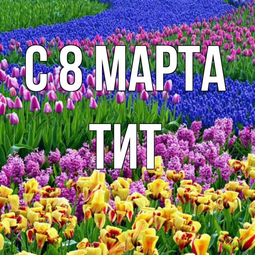 Открытка на каждый день с именем, Тит С 8 МАРТА цветы Прикольная открытка с пожеланием онлайн скачать бесплатно 