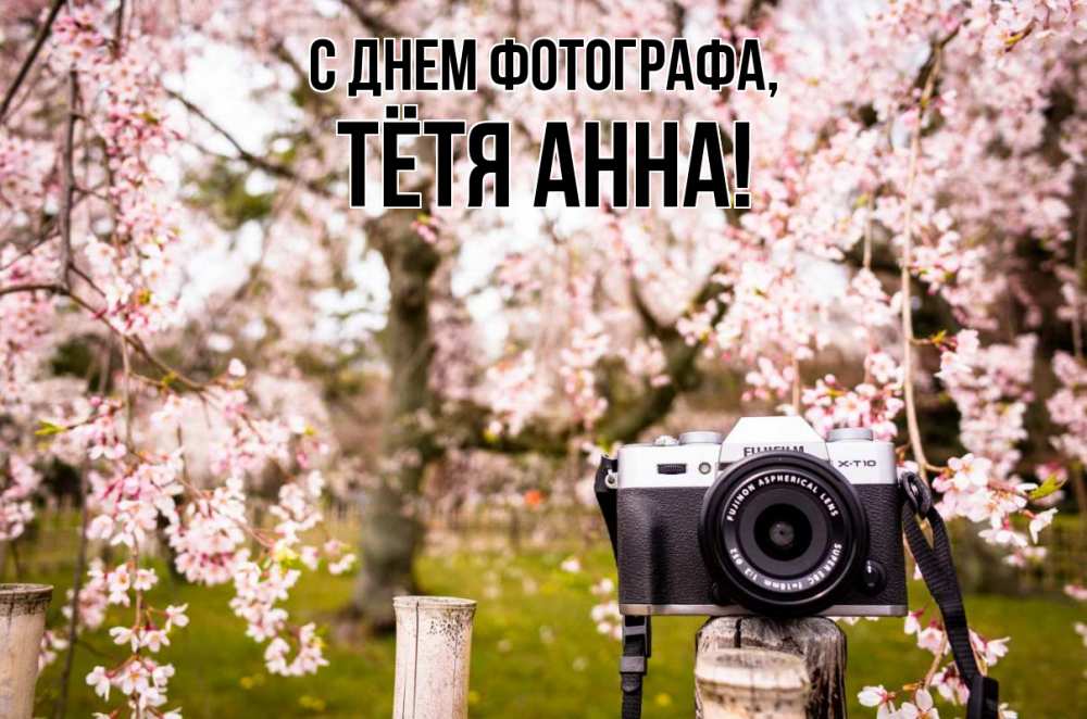 Открытка на каждый день с именем, Тётя-Анна С днем фотографа сирень с днем фотографа, фотоаппарат Прикольная открытка с пожеланием онлайн скачать бесплатно 