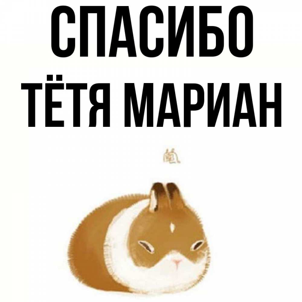 Открытка на каждый день с именем, Тётя-Мариан Спасибо коричнево белый домашний питомец Прикольная открытка с пожеланием онлайн скачать бесплатно 