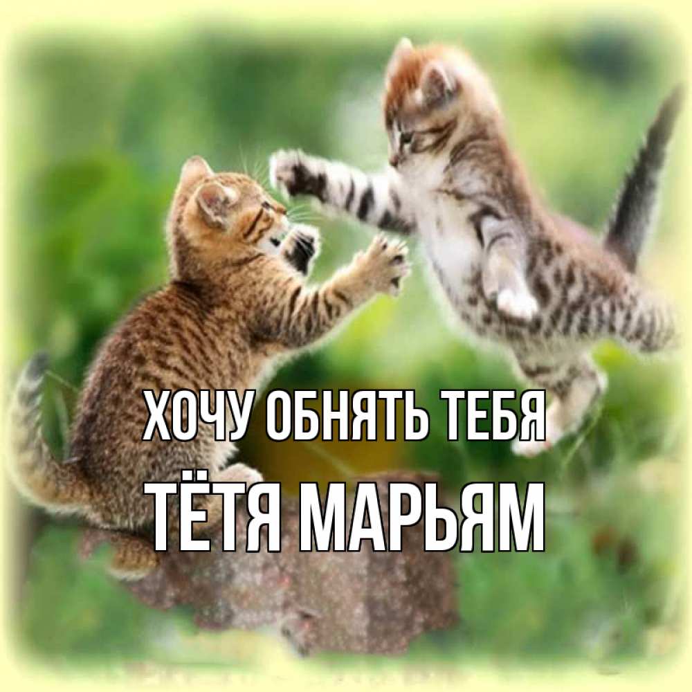Открытка на каждый день с именем, Тётя-Марьям Хочу обнять тебя игры котят Прикольная открытка с пожеланием онлайн скачать бесплатно 