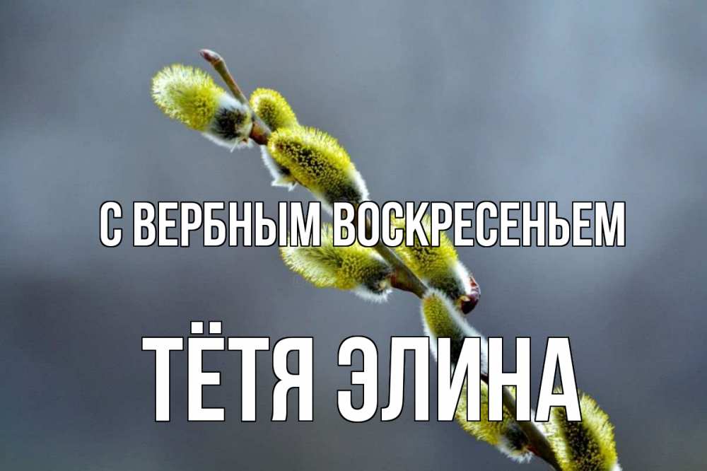 Открытка на каждый день с именем, Тётя-Элина С вербным воскресеньем верба Прикольная открытка с пожеланием онлайн скачать бесплатно 