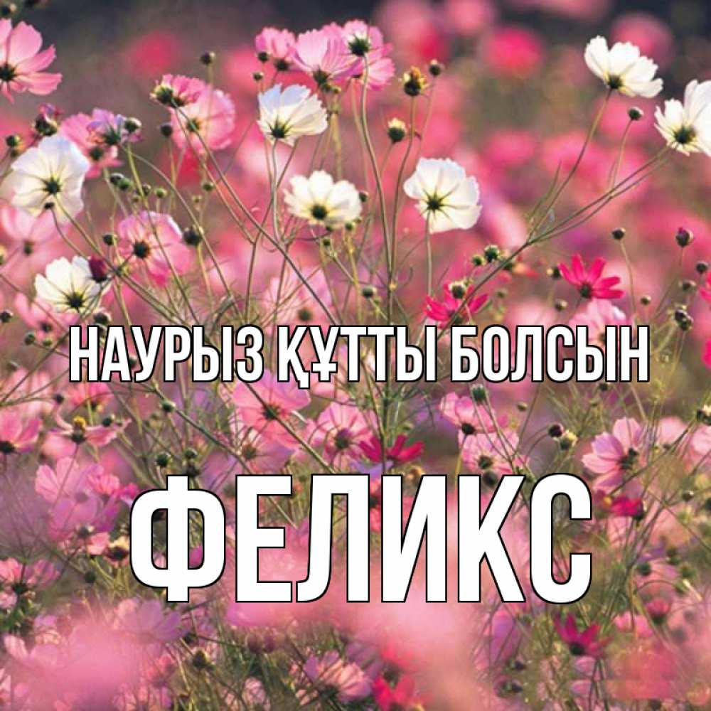 Открытка на каждый день с именем, Феликс Наурыз құтты болсын красиво 1 Прикольная открытка с пожеланием онлайн скачать бесплатно 