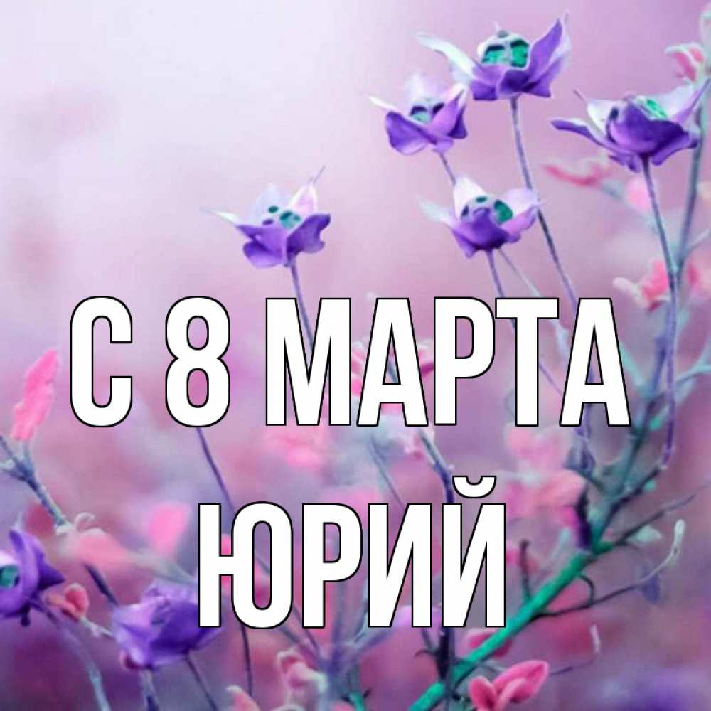 Открытка на каждый день с именем, Юрий С 8 МАРТА международный женский день 2 Прикольная открытка с пожеланием онлайн скачать бесплатно 