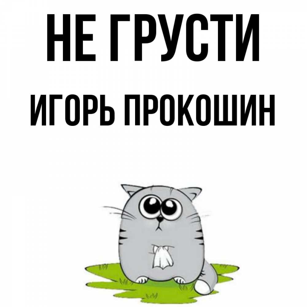 Котик не грусти картинки