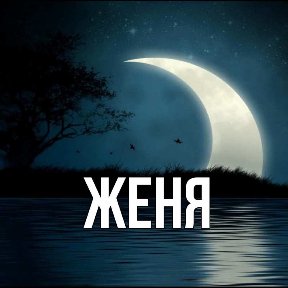 Открытка на каждый день с именем, Женя Главная вода Прикольная открытка с пожеланием онлайн скачать бесплатно 