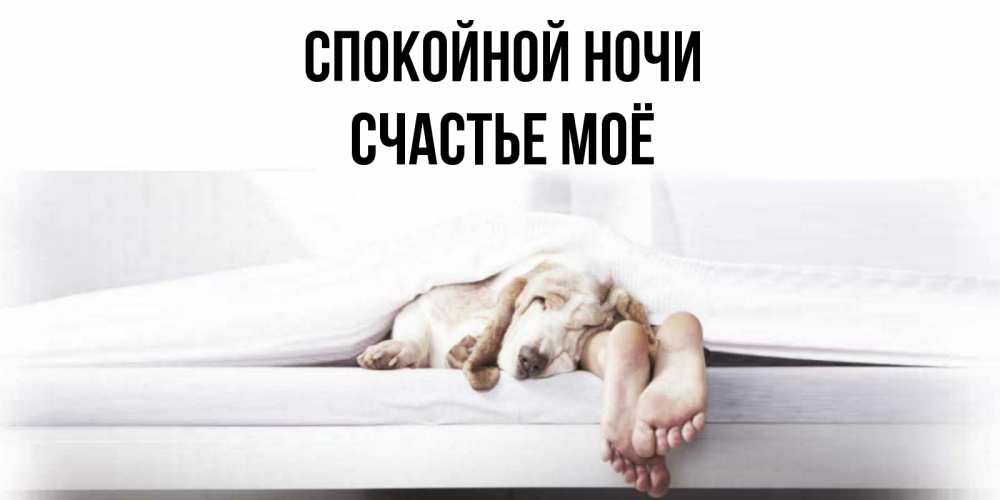 Открытка с именем, счастье моё, Спокойной ночи