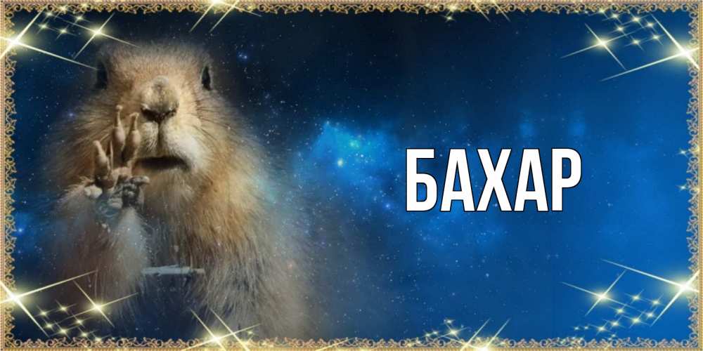 Открытка на каждый день с именем, Бахар Главная спокойной ночи сладких снов Прикольная открытка с пожеланием онлайн скачать бесплатно 