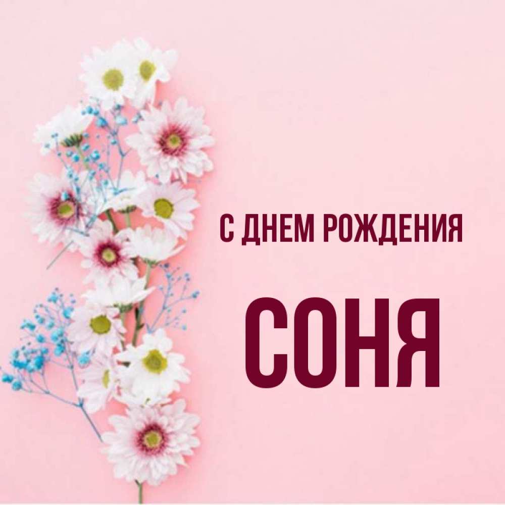 Сонечка с днем. С днём рождения Соня. Открытки с днем рождения Соня. С днём рождения Сонечка картинки. С днем рождения с именем Соня.